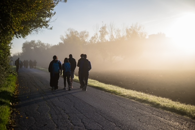 Constancia en la vida espiritual.